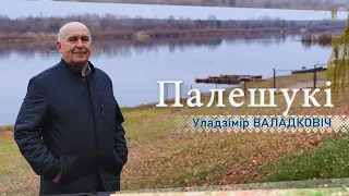 Белорусское Полесье – город Мозырь. Художник Владимир Володкович