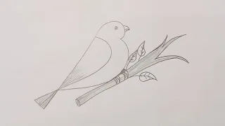 Bird drawing tutorial for beginners!! Pencil bird drawing!! drawingvideo!! how to draw a bird