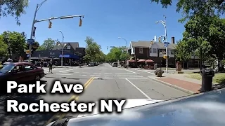 Driving Down Park Ave - Rochester NY - 1080 60fps