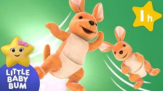 Jump and Hop with Kangaroo! |  Animal songs | Little Baby Bum