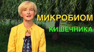 Микробиом кишечника: как беречь и чем кормить | Пре- и пробиотики | Пищевой конструктор здоровой еды