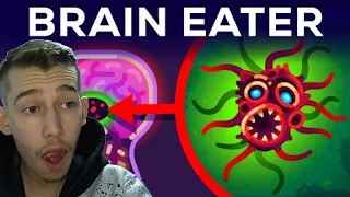 The Most Horrible Parasite: Brain Eating Amoeba (Reaction)