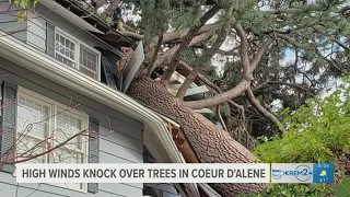 High winds knock over trees in Coeur d'Alene
