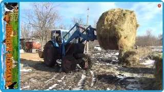 САМ НЕ СЪЕШЬ А ХОЗЯЙСТВО НАКОРМИ! МЫ В ОТВЕТЕ ЗА ТЕХ КОГО ПРИРУЧИЛИ