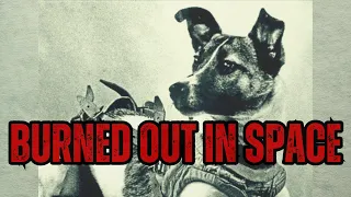 What Happened To Laika? The Space Dog