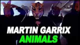 Martin Garrix Animals - DVBBS & Borgeous Tsunami (ReMiX)