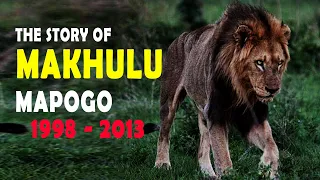 Makhulu Mapogo - The Lion who was born to be King
