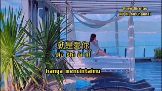 jiu shi a ni ( 就是爱你 / terjemahan indo/Vietsub/Pinyin Lyrics】