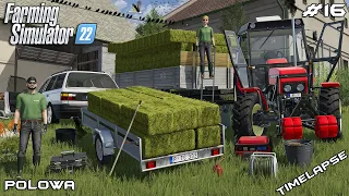 COLLECTING small SQUER HAY BALES with PASSAT and ZETOR | Polowa | Farming Simulator 22 | Episode 16