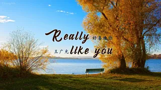 [ENGSUB/PINYIN] 好喜欢你 (Hao Xi Huan Ni - Really like you) - 王广允 (Wang Guang Yun)