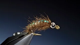 Tying the Flashback caddis/sedge larva with Barry Ord Clarke