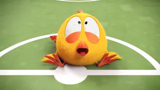Where's Chicky? Funny Chicky 2022 🏉 THE GAME 🏈 Chicky Cartoon in English for Kids