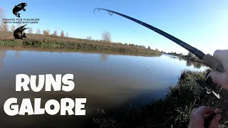 River dead bait Pike fishing : Runs galore