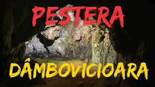 🟠 Peștera Dâmbovicioara - explorăm împreună această peșteră
