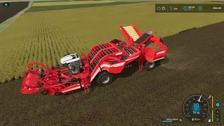 Farming Simulator 22 Без комментариев Уборка Картофеля на комбайне Grimme Ventor 4150