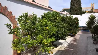 La Siesta, Torrevieja