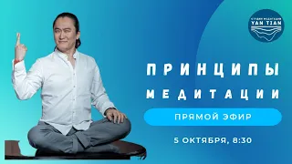 Принципы медитации | Прямой эфир | Ян Тиан