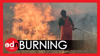 Sicily BURNS as Temperatures Hit Highest EVER