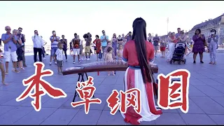 【中國古箏｜本草綱目 Chinese Herbal Manual 】已扎根千年的漢方 有別人不知道的力量  Chinese Instrument Guzheng