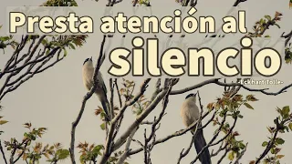 PRESTA ATENCIÓN AL SILENCIO - Eckhart Tolle