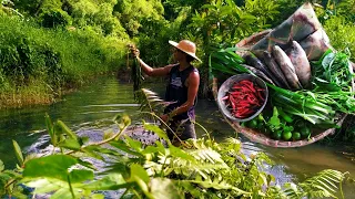 CATCHING TILAPIA AND LOOKING FOR EDIBLES | PROMDI BOY | LIFE IN THE PROVINCE
