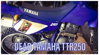 Cheap Yamaha TTR250 Dead On Arrival - Let's Get It Running!