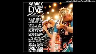 Sammy And The Wabo's – I Can't Drive 55 (live)