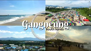 Gangneung Day Trip 🌊 Beaches, Cafes,  and Transportation