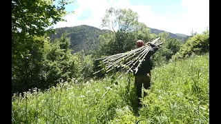 Оти е скоп смилянският фасуль - част втора