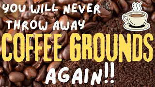 ☕️ After this You Will Never Throw Away Coffee Grounds Again