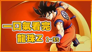 Finished watching "Dragon Ball Z 1-35" in one breath [Watch anime on PP]