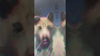 WolfQuest 3 AE (TikTok new x mas wolf)