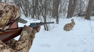 Winter Rabbit Hunting with a Lever Action .22 Rifle! (CATCH CLEAN COOK)