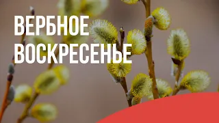 Праздник "Вход Господень в Иерусалим" (Вербное воскресенье) ЦБЦ 28.04.24