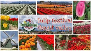 Skagit Valley Tulip Festival, Washington | 2022 April 16 | OurTravelHikes