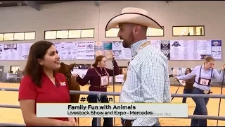 Rio Grande Valley Livestock Show w/ TV Host Danielle Banda