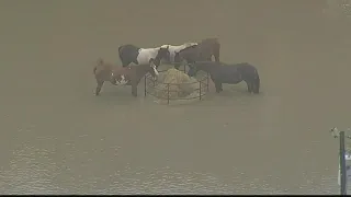 Historic rains cause deadly flooding in Texas