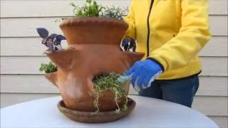 How To Plant a Strawberry Pot Herb Garden