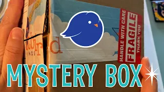 Fat Bird Finds Mystery Box UNBOXING! Vintage goodies!