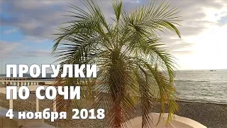 Прогулки по Сочи | Субтропический курорт осенью | Погода 4 ноября 2018 года