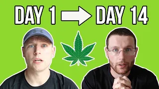 I quit smoking WEED for 2 weeks and this is what happened..