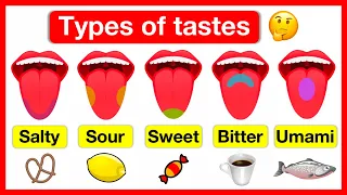 Types of tastes 👅 | Salty, Sour, Sweet, Bitter & Umami | How do we taste? 👅 | Easy learning video