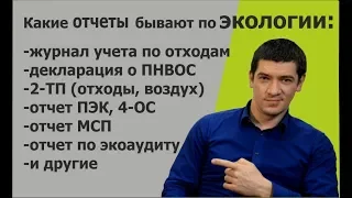 Основные отчеты по экологии