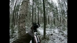 Охота на Лося с лайками. Moose hunting