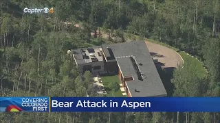 Bear Opens Front Door, Attacks Man Inside Aspen Home