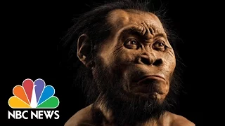 Early Human May Have Made Tools, Buried Dead And Lived Beside Modern Humans | NBC News