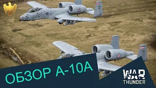 ОБЗОР А-10А - Содом и Гоморра | War Thunder