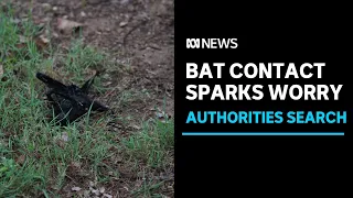 Children potentially exposed to fatal bat-borne virus | ABC News