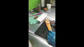 Monkey Lolly waffle... Waffle on stick