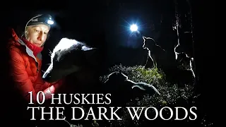 Camping with 10 Huskies in the Dark Woods | Training Siberian Husky Dogs